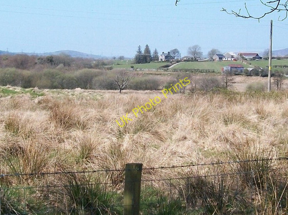 Photo 6"x4" View across reed beds towards Ystumcegid-isaf farm Criccieth c2010
