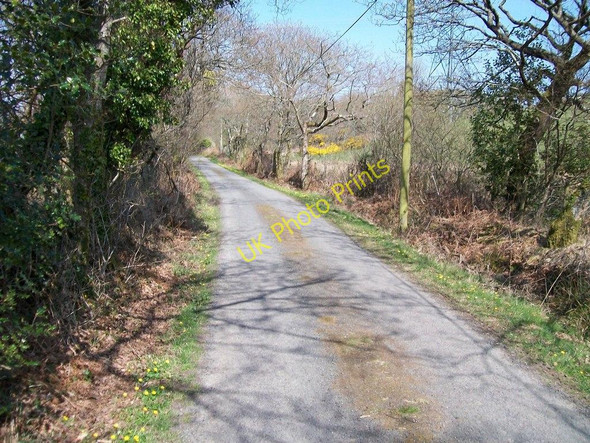 Photo 6"x4" The road towards Ymwlch near Ynys-ddu Criccieth c2010