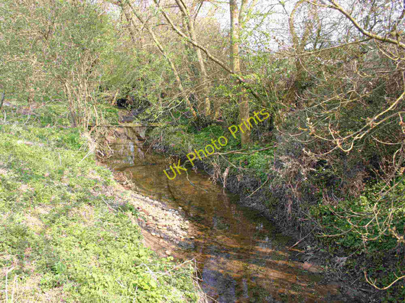 Photo 6"x4" Cod Brook, Honington Honington\/SP2642 c2010