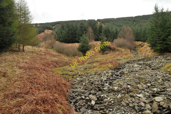 Photo 6"x4" Unnamed stream running down the hillside in Glen Orchy Am M\u00e0m\/NN2430 c2010