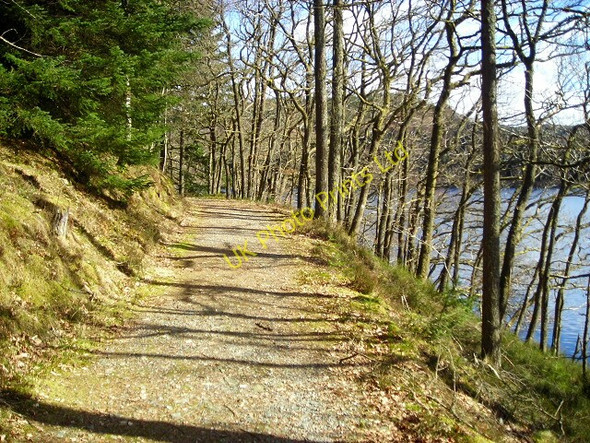 Photo 6"x4" Path Beside Loch Drunkie Brig o' Turk c2008