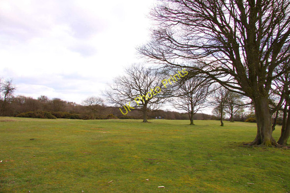 Photo 6"x4" Footpath across Coombe Hill Wendover c2010