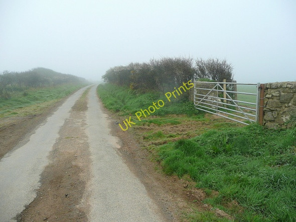 Photo 6"x4" West Pembrokeshire lane Cwmwdig Water c2010
