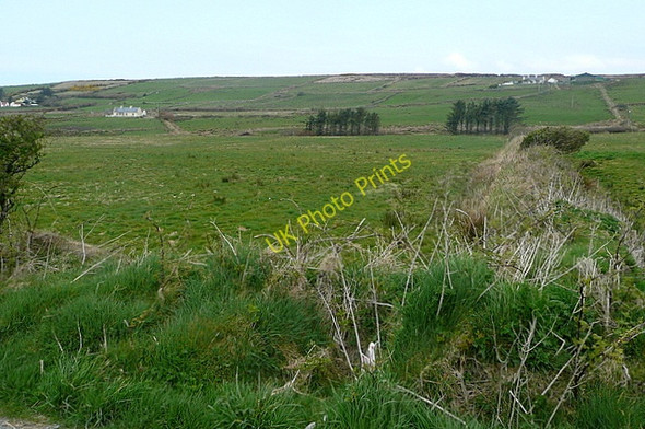 Photo 6"x4" Pasture at Leeds Milltown Malbay c2010