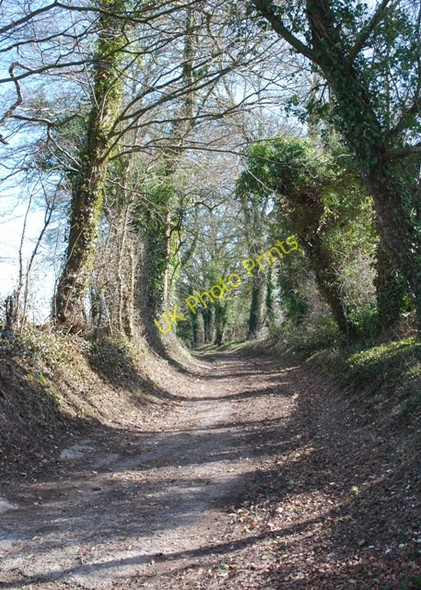 Photo 6"x4" Old road at Rollestone Rollestone\/SU0743 c2010