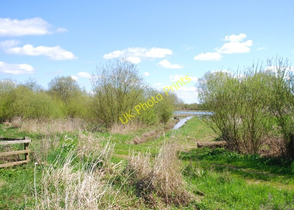 Photo 6"x4" Wheldrake Ings East Cottingwith c2010