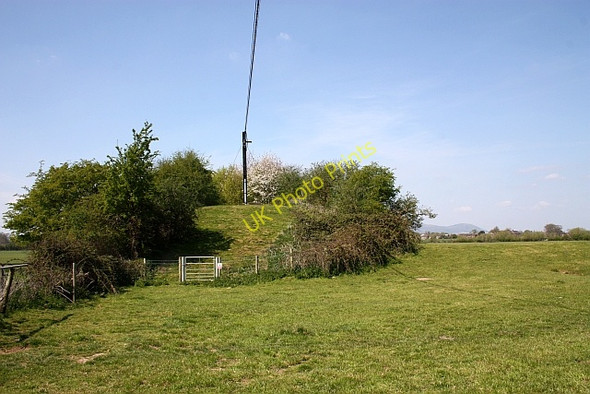 Photo 6"x4" The old railway embankment Grov c2010