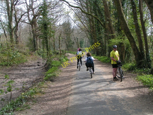 Photo 6"x4" Cyclists on the Plym Valley cyclepath, part of National Cycle Route 27 Longbridge\/SX5157 c2010