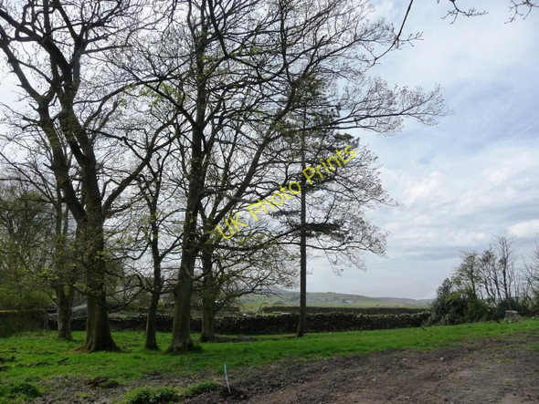 Photo 6"x4" Stand of trees, off Slaymaker Lane Bogthorn c2010