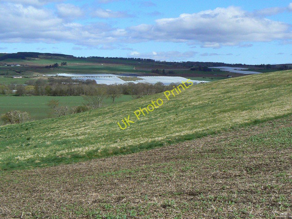 Photo 6"x4" Hillside field Rosemount\/NO1943 c2010