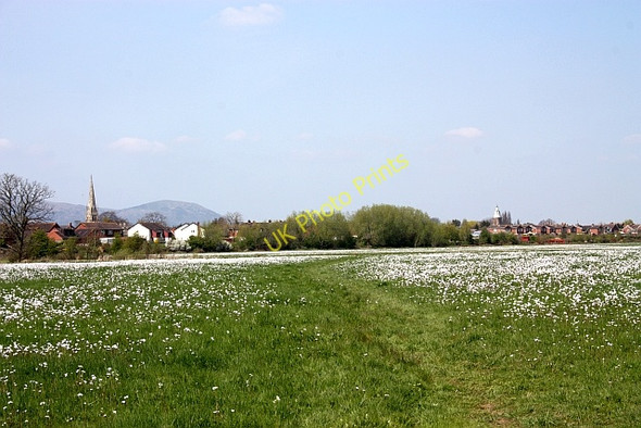 Photo 6"x4" Path through Upton Ham Grov c2010