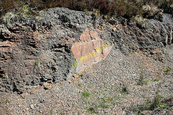 Photo 6"x4" Rock in Knockalassa forest Connolly c2010