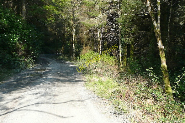 Photo 6"x4" A yellow road?  Really? Connolly c2010