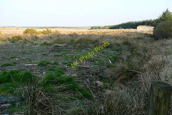 Photo 6"x4" Scrubland at Slievealoughaun Connolly c2010