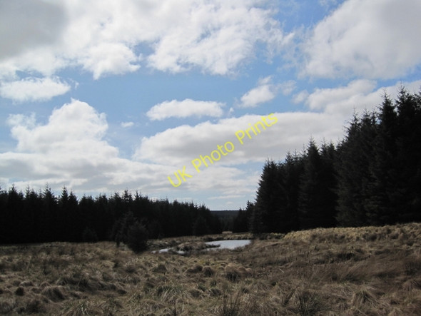 Photo 6"x4" Pond fed by the Small Burn Small Burn\/NY7073 c2010