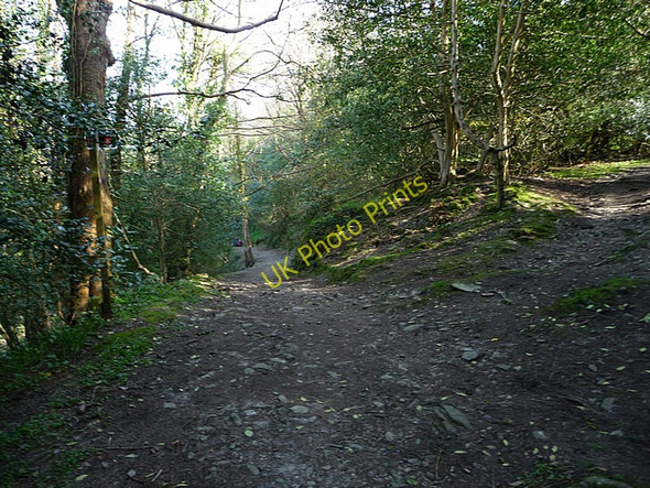 Photo 6"x4" Footpath between Laxey and Old Laxey Laxey c2010