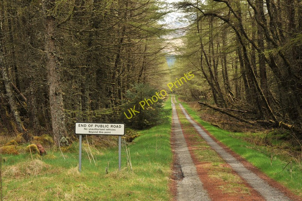 Photo 6"x4" Private road to Leanachan Aonachan c2010