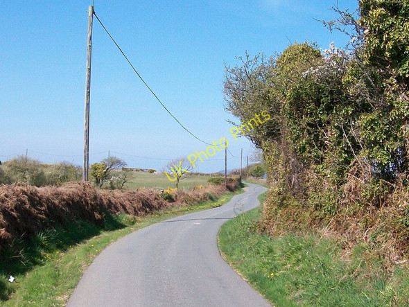 Photo 6"x4" Country road between Castellcoed and Rhedynog Bellaf Llanarmon c2010
