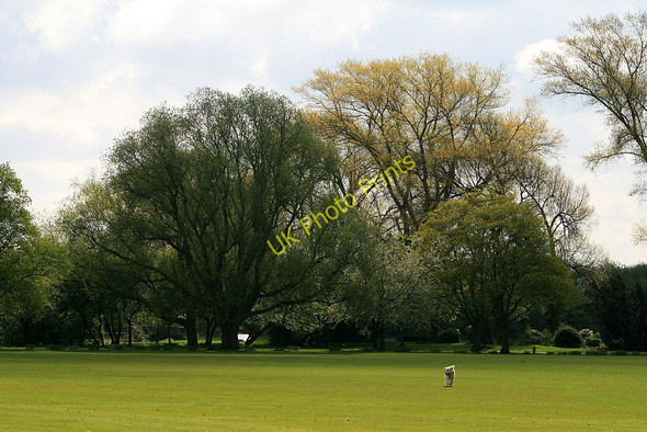 Photo 6"x4" Spring trees Long Eaton c2010