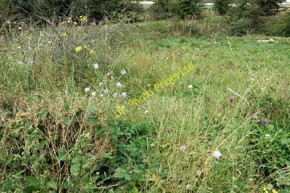 Photo 6"x4" Magnesian Limestone grassland near Newthorpe Newthorpe\/SE4732 c2005