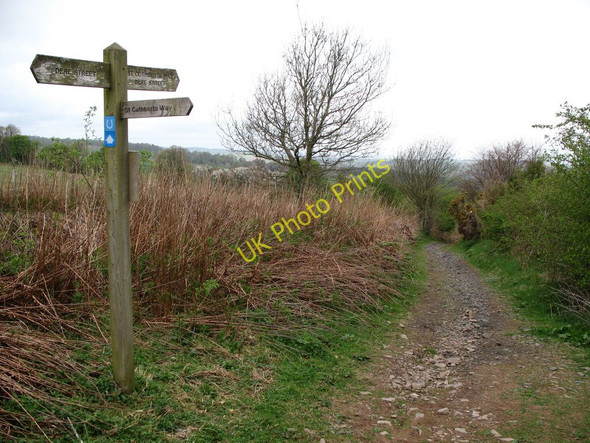Photo 6"x4" Signpost and Footpath Junction Crailing c2010