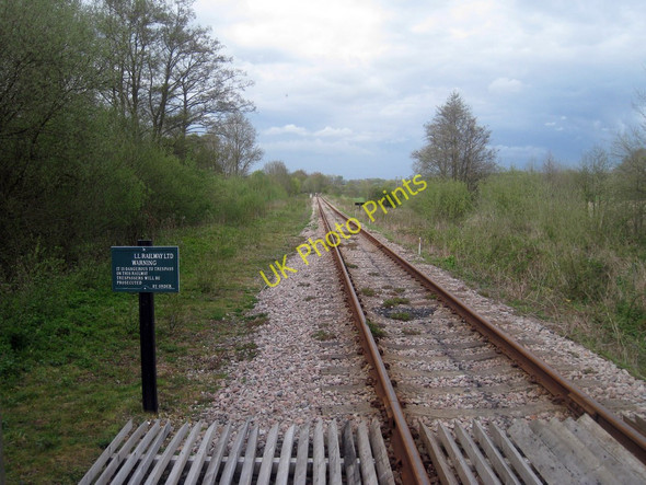 Photo 6"x4" Lavender Line Isfield c2010