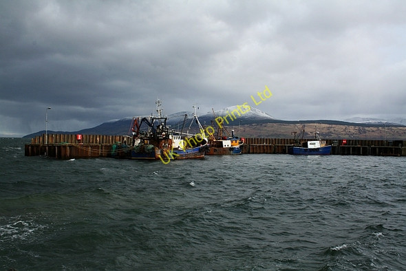 Photo 6"x4" Carradale Harbour at High Tide Carradale c2008