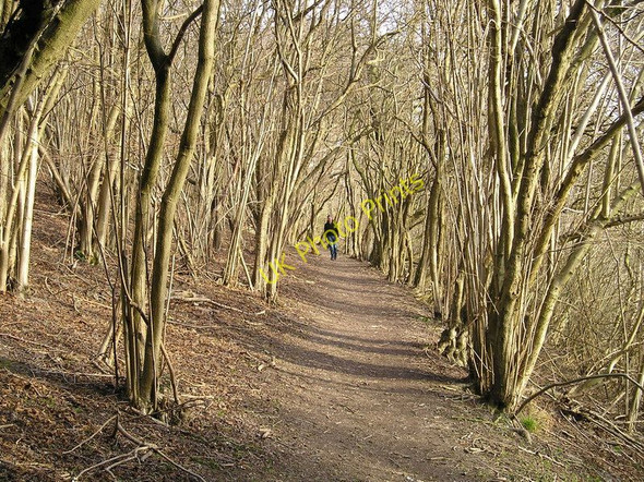 Photo 6"x4" Pilgrims Way Mogador c2007
