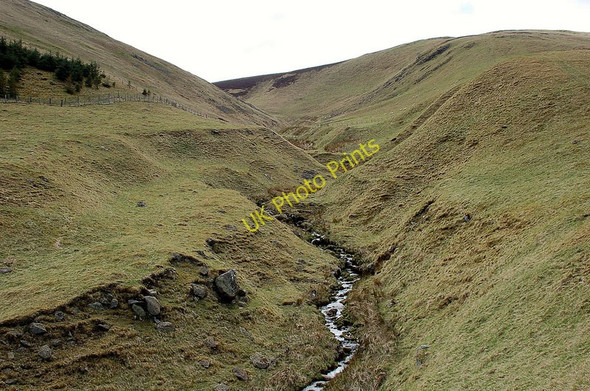 Photo 6"x4" Hirendean Burn Tweeddaleburn\/NT2752 c2010