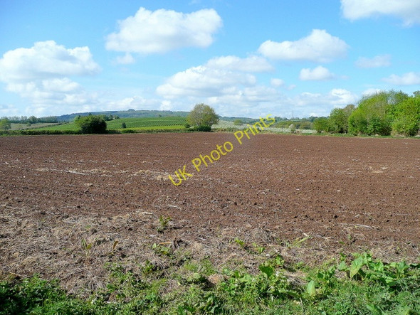 Photo 6"x4" View to May Hill from the B4216 Anthony's Cross c2010