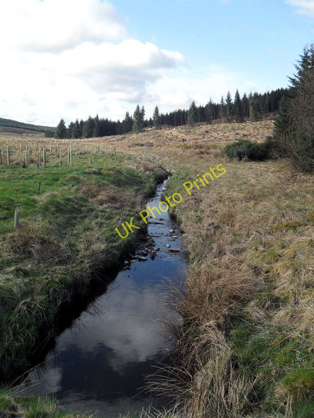 Photo 6"x4" In Watcarrick Forest Eskdalemuir c2010