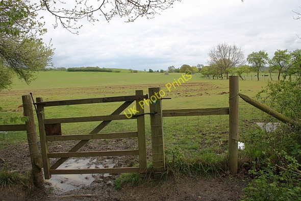 Photo 6"x4" Bridleway to Pershore Pershore c2010
