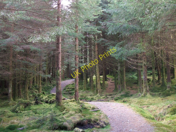 Photo 6"x4" Cornish Hill Path Stinchar Br c2010