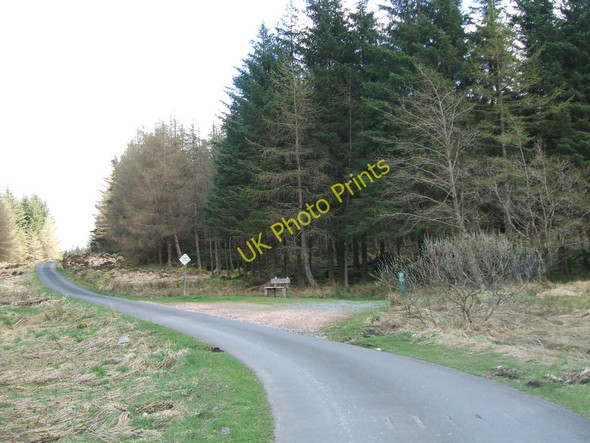 Photo 6"x4" Carrick Forest Drive Water of Girvan\/NX4095 c2010