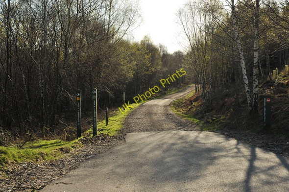 Photo 6"x4" Forestry road near Fearnoch Inveresragan c2010