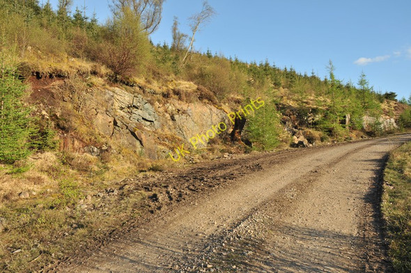 Photo 6"x4" Forestry road in Inverawe forest Corfhouse c2010