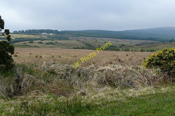 Photo 6"x4" Pasture at Gortalougha Connolly c2010