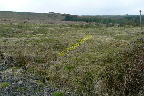 Photo 6"x4" Scrubland at Gortalougha Connolly c2010