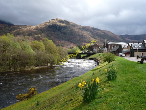 Photo 6"x4" Springtime reaches 'Shadowlands' in Kinlochleven Kinlochleven c2010