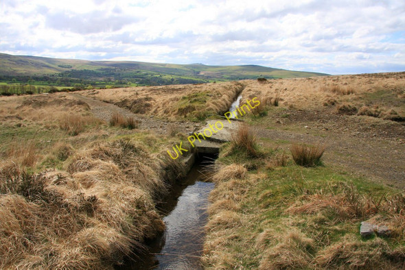 Photo 6"x4" A mine leat Horndon c2010