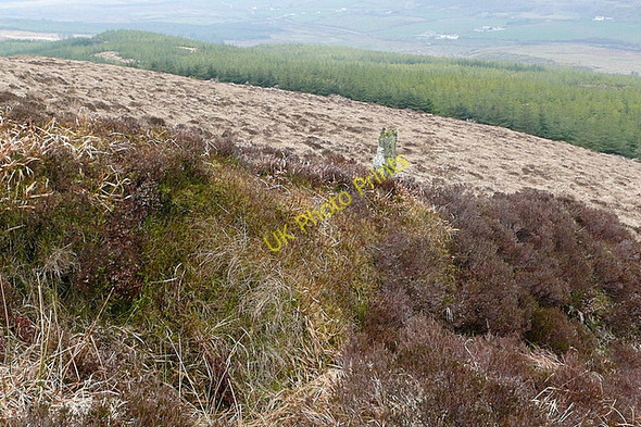 Photo 6"x4" Moorland above Boolinrudda Connolly c2010