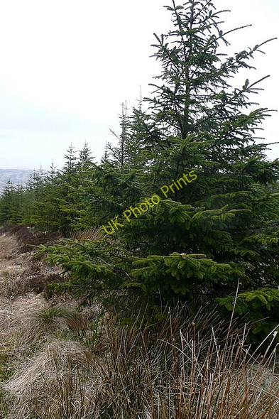 Photo 6"x4" Extra navigational aid Connolly c2010