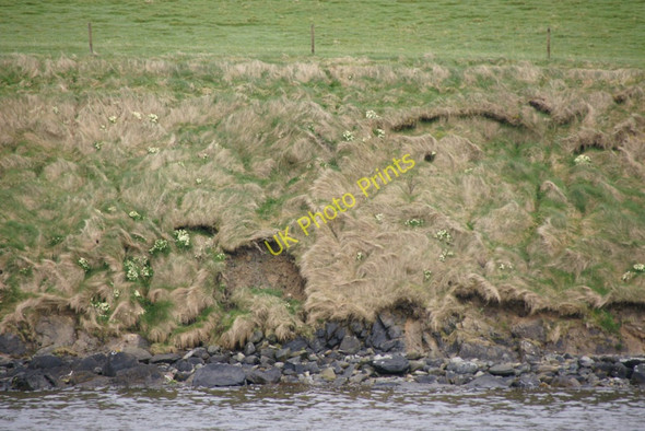 Photo 6"x4" Mayflooers on the banks, Vidlin Kirkabister\/HU4866 c2010
