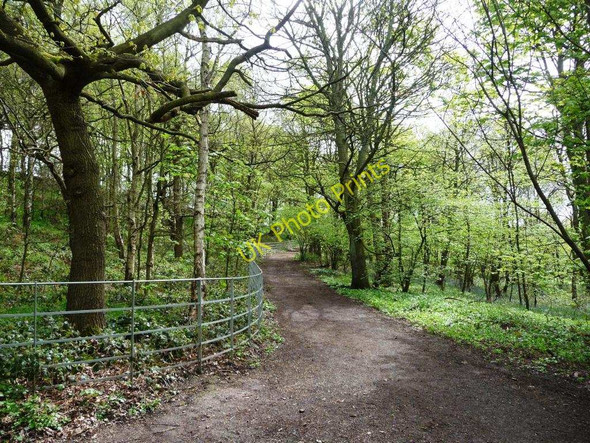 Photo 6"x4" Bridleway heading up to Stocksmoor Road Midgley\/SE2714 c2010