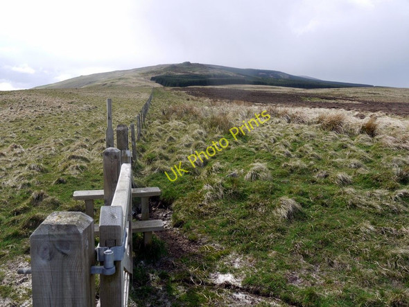 Photo 6"x4" Gate & stile on bridleway south of The Dod Ingram c2010
