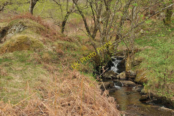 Photo 6"x4" Unnamed stream flowing toward Loch Leven Glencoe\/NN1058 c2010