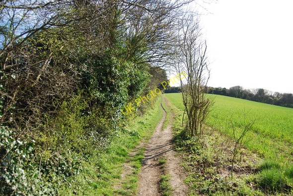 Photo 6"x4" The North Downs follows the field edge Wouldham c2010