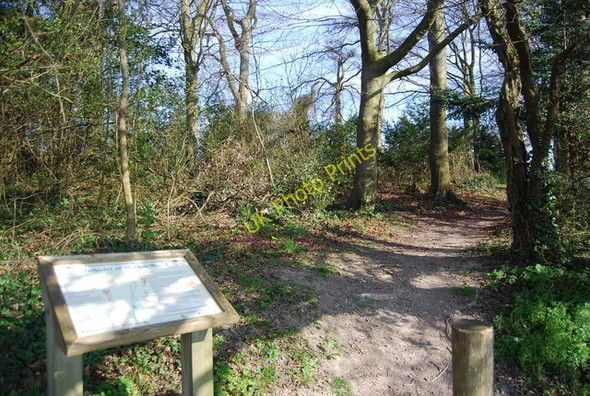 Photo 6"x4" Entrance to Shoulder of Mutton Wood Borstal c2010
