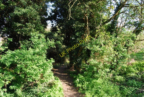 Photo 6"x4" The Medway Valley Walk, Borstal Rochester\/TQ7268 c2010