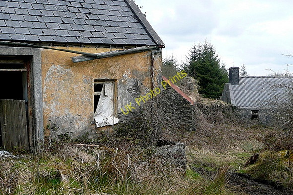 Photo 6"x4" Ruins in the forest Connolly c2010